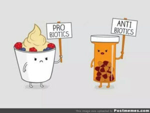 A probiotikumról jó tudni, hogy antibiotikummal is szedhető